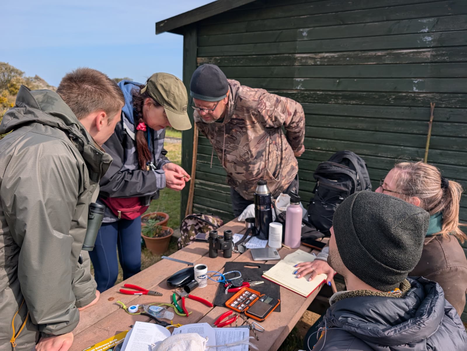 Ringing at Minez